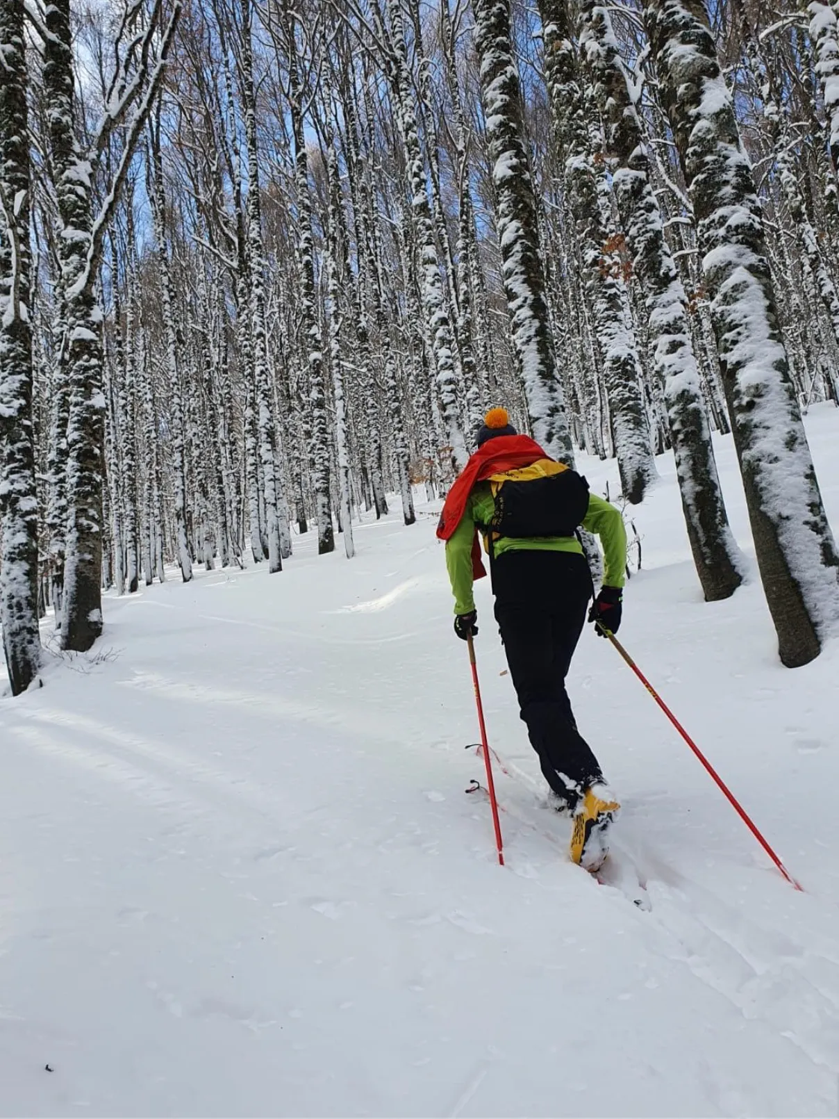 Percorso Il Bosco Incantato Aremogna